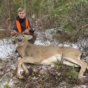 Meet your Posher, Billy